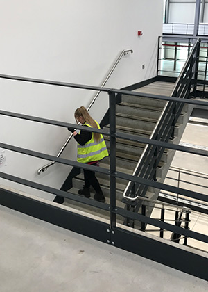 Woman Cleaning Stair Rails